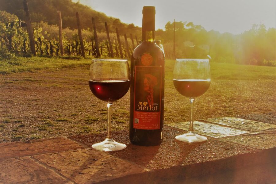 Lucca: Guided E-Bike and Wine Tour - Lucca’s walls, with room for views