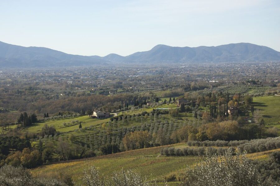 Lucca: Guided E-Bike and Wine Tour - The guides shape the experience