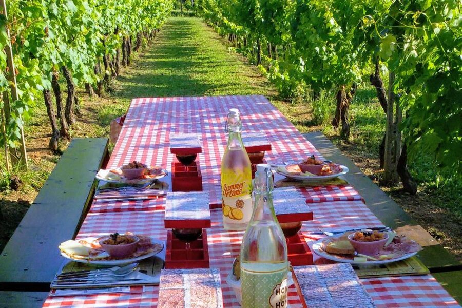 Lucca: Guided E-Bike and Wine Tour - Is $123.48 a good value?