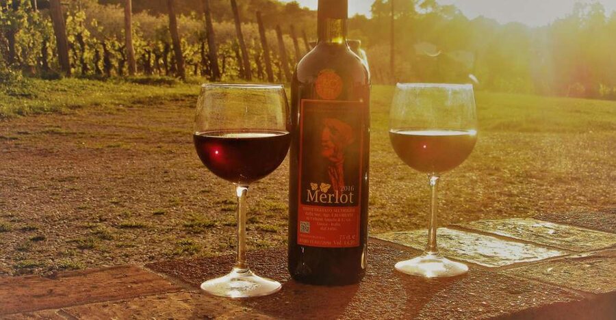 Lucca: Guided E-Bike and Wine Tour - Starting at Piazzale Ricasoli