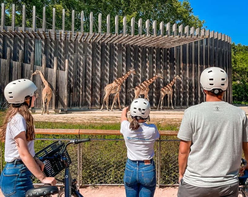 Lyon: Guided City Bike Tour - How much history will you get?