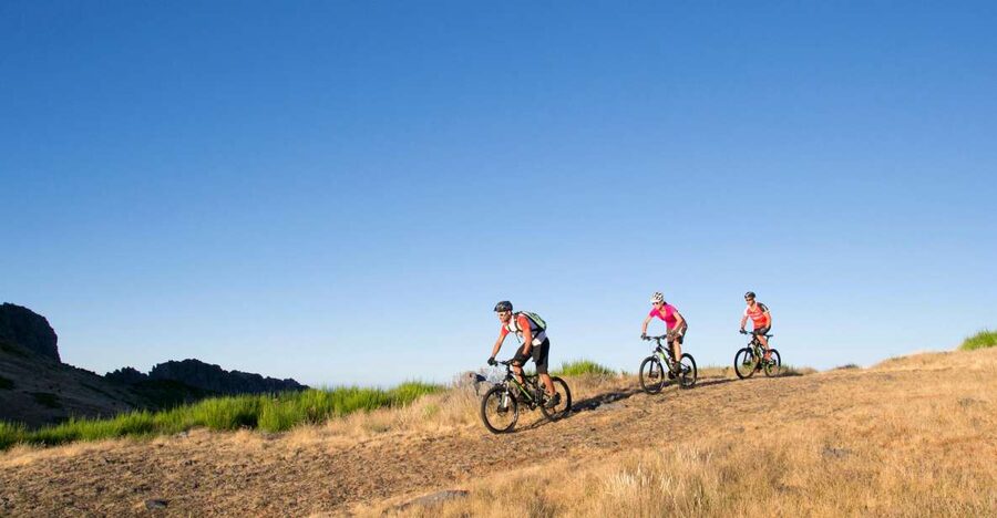 Madeira Botanical Levels Bike Tour – Scenic Trail Experience - The levada section at about 850 meters