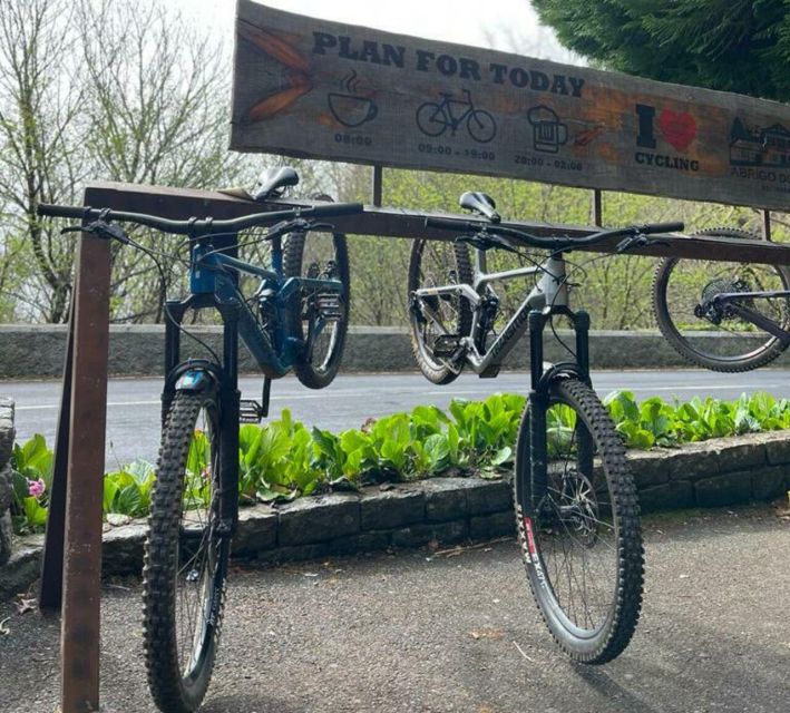Madeira Botanical Levels Bike Tour – Scenic Trail Experience - The final 10 kilometers require careful braking