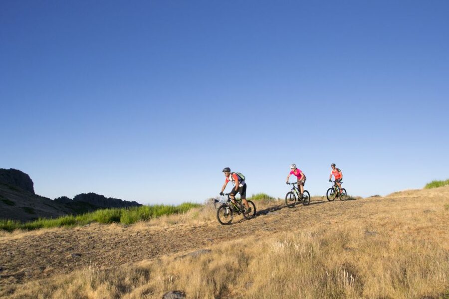 Madeira Botanical Levels Bike Tour – Scenic Trail Experience - Two route styles, from broad tracks to single-track