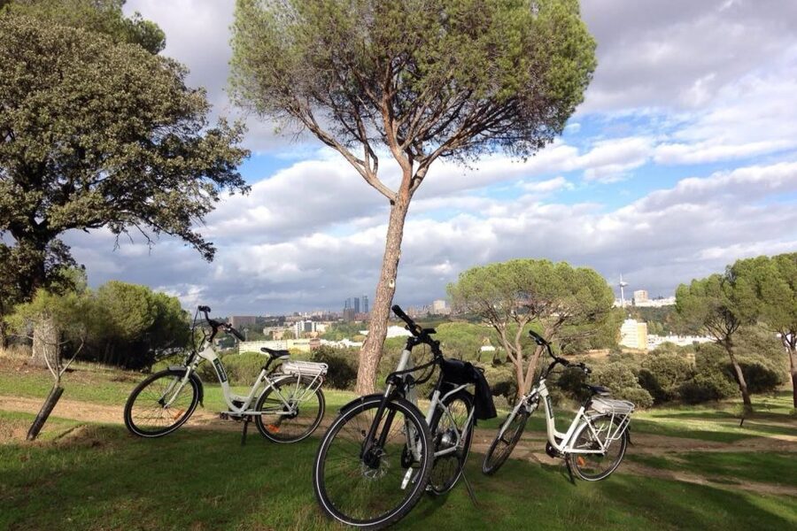 Madrid’s River Side & Casa de Campo Electric Bike Tour - The lake, Madrid’s beach, and local life