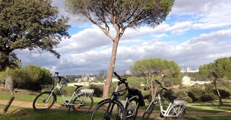Madrid’s River Side & Casa de Campo Electric Bike Tour - Entering Casa de Campo, Madrid’s giant park