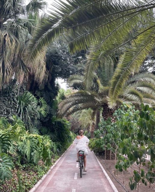 Malaga: Castle Hill and Fisherman Village E-Bike Tour - Climbing toward Gibralfaro Castle