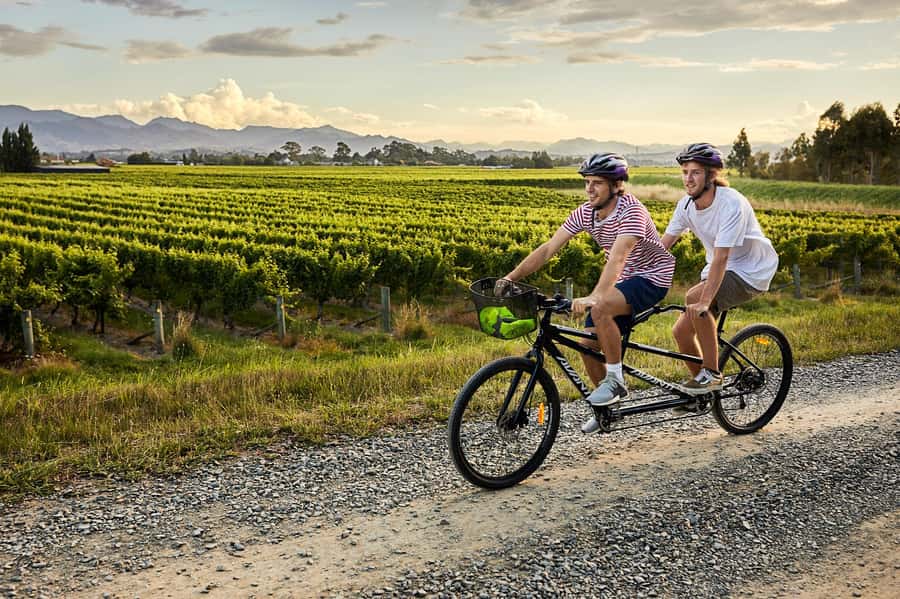 Marlborough: Full-Day Self-Guided Biking Wine Tour - Key points at a glance