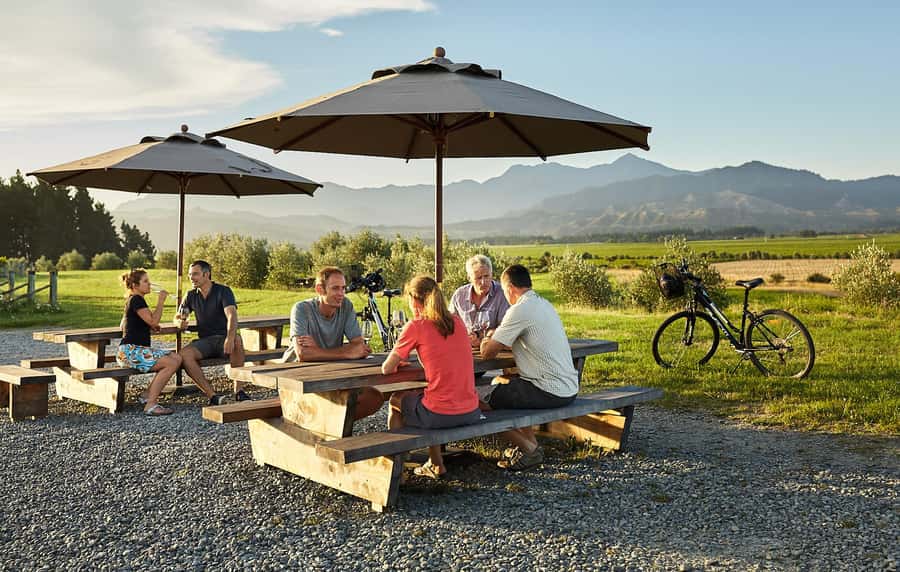 Marlborough: Full-Day Self-Guided Biking Wine Tour - Building your own winery route