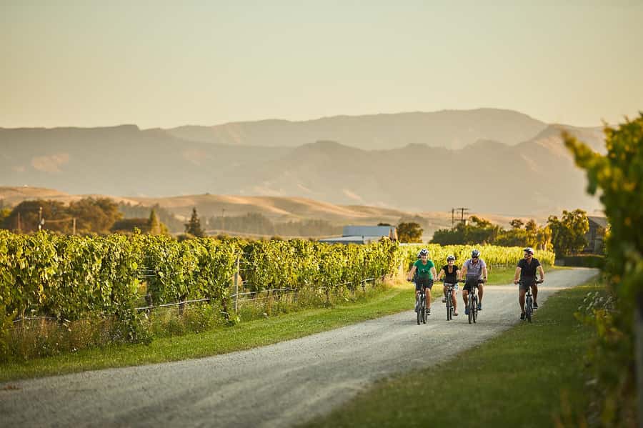 Marlborough: Full-Day Self-Guided Biking Wine Tour - Starting near the Vines Village