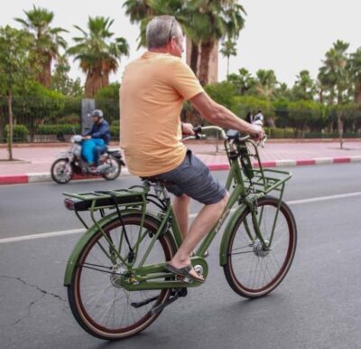 Electric Bicycle City Tour