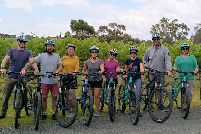 McLaren Vale Wine Tour by Bike - Lunch made for sharing