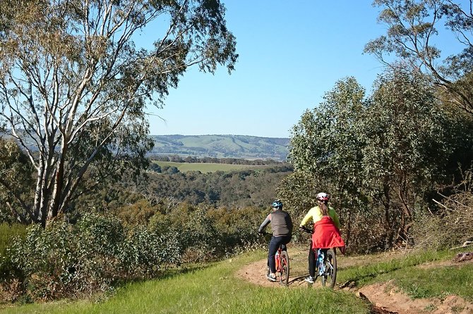 McLaren Vale Wine Tour by Bike - Who will enjoy this day most