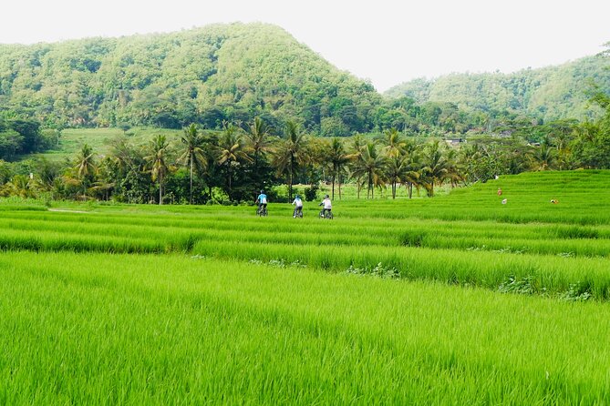 Menoreh Village Cycling - Why Nanggulan makes a good break from Yogyakarta