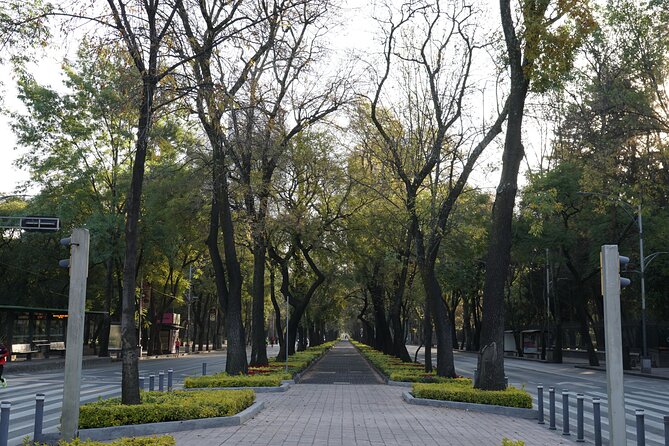 Mexico City: 19 City Highlights Bicycle Tour - Fine Arts and the Zócalo