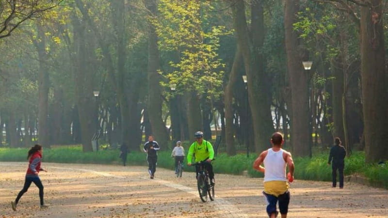 Mexico City: Private Chapultepec Park Bike Tour - Key points at a glance
