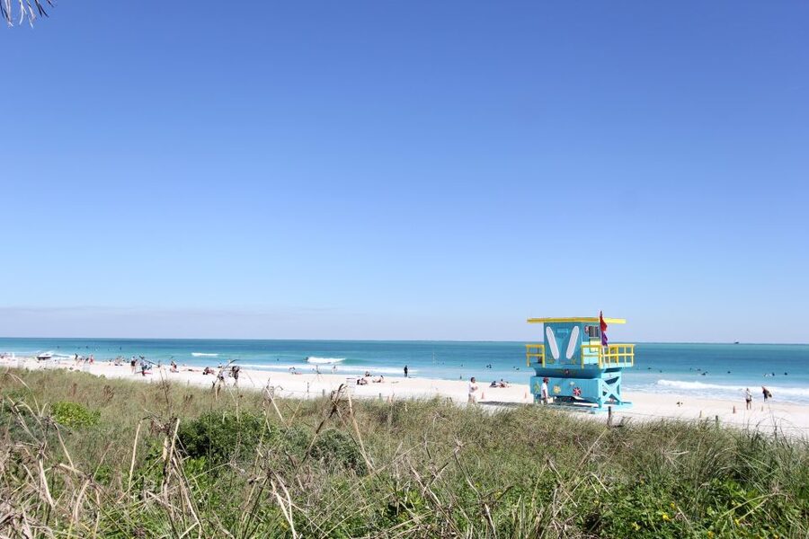 Miami: 2-Hour Art Deco Bike Tour - The Holocaust Memorial and Miami Beach Botanical Garden