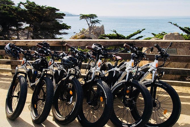 Monterey's 17 Mile Drive Guided Electric Bike Tour, 3 hr - Starting near Asilomar State Beach