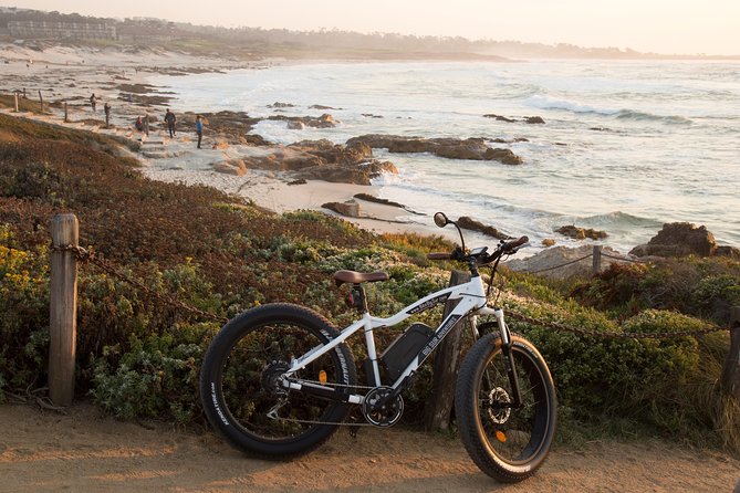 Monterey's 17 Mile Drive Guided Electric Bike Tour, 3 hr - China Rock and Bird Rock Vista Point