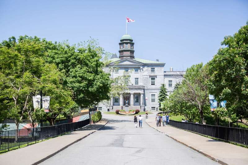 Montreal: Guided Bike Tour of City, Old Port & Plateau - La Fontaine Park, the Plateau, and Mont-Royal