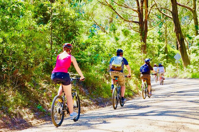 Mornington Peninsula Self-Guided Bike Tour | Food & Wine Region - Starting at Seawinds and Arthurs Seat