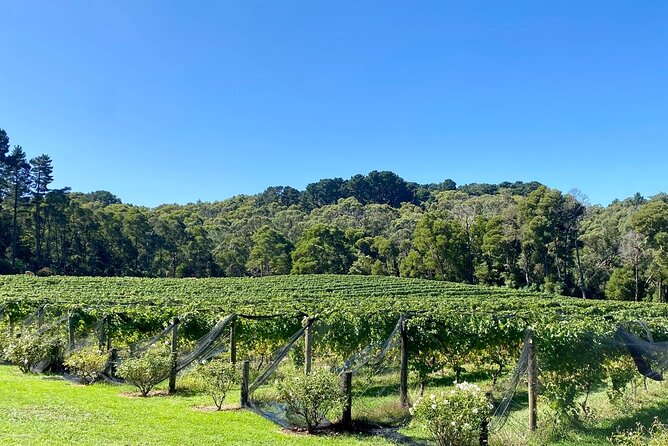 Mornington Peninsula Self-Guided Bike Tour | Food & Wine Region - Lunch at Red Gum BBQ