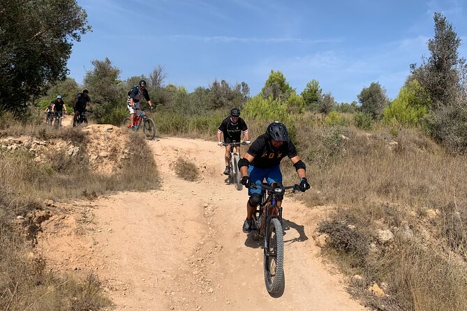 Mountain Bike Tour Font de la Mata - Is $122.70 good value?