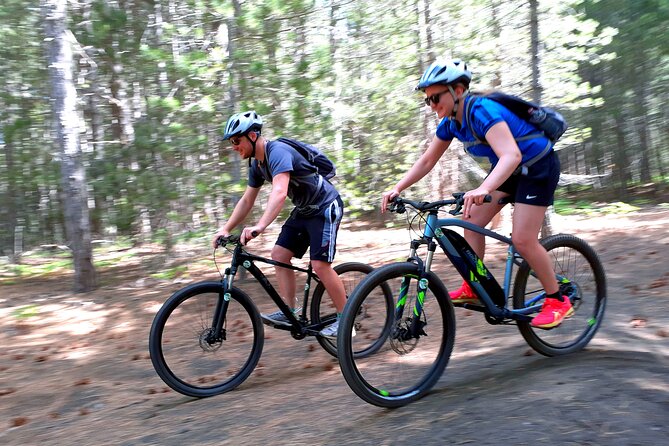 Mountain Biking Etna by MTB or E-Bike - The Pista Altomontana and the first volcanic views