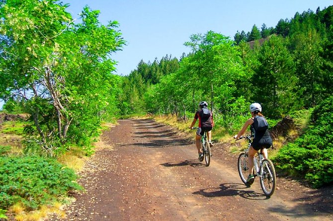 Mountain Biking Etna by MTB or E-Bike - Why the private format matters