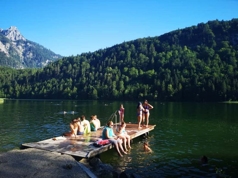 Munich: Neuschwanstein Castle by Bus with Alpine Bike Ride - Lunch near Neuschwanstein