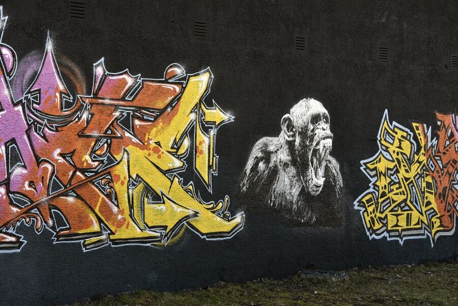 Munich: Street Art Bike Tour - What the guiding adds to the artwork