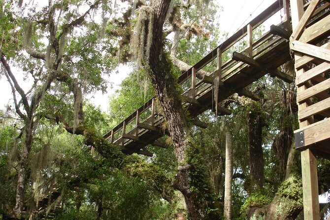 Myakka State Park E-bike Safari - Comfort, pace, and safety on the bikes