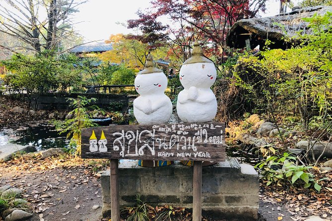 Nami+Alpaca+Garden of Morning Calm (+Rail Bike Option) - Why this Seoul day trip covers so much ground