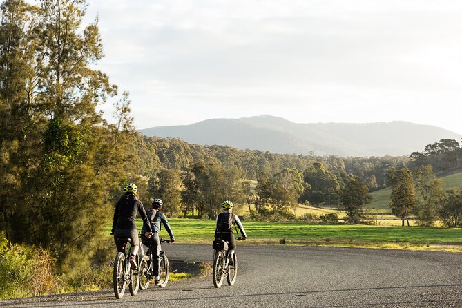 Narooma - E-Bike Hire 2 Hour Rental - Choosing a shorter local loop