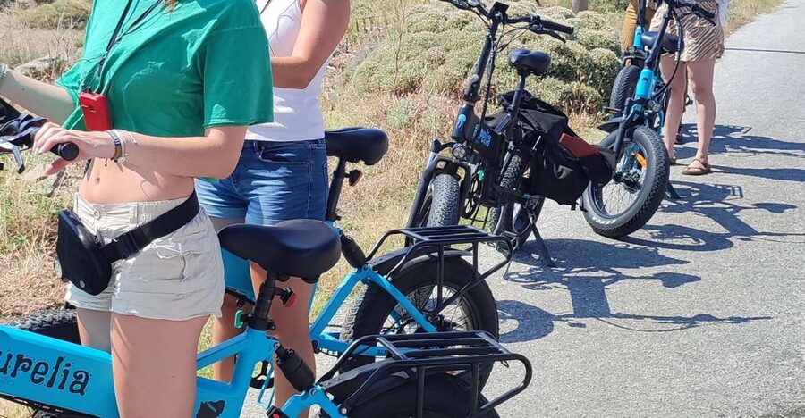 Naxos: Private E-Bike Tour with Farm Lunch - The guide makes the difference