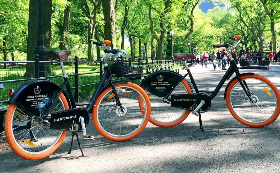 New York City: Best of Central Park Bike Tour - The Literary Walk and Cherry Hill