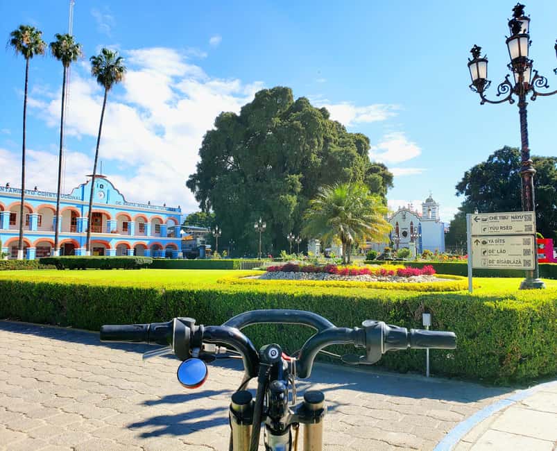 Oaxaca: Guided Bike Tour to the Largest Tree in the World - The ride back to Oaxaca