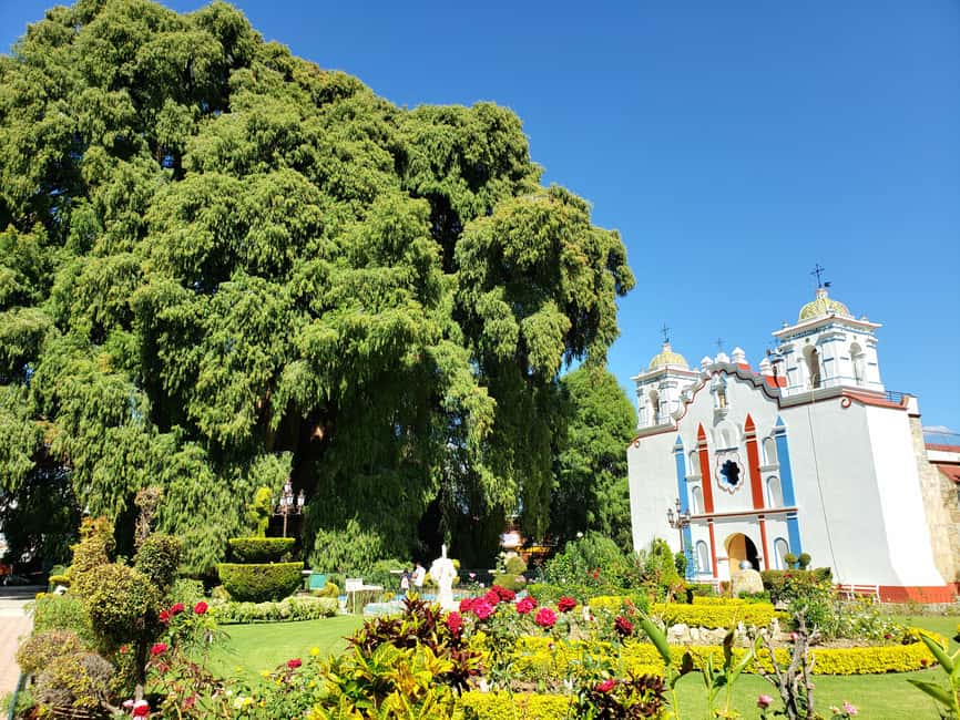 Oaxaca: Guided Bike Tour to the Largest Tree in the World - Practical packing advice for the 20-kilometer route