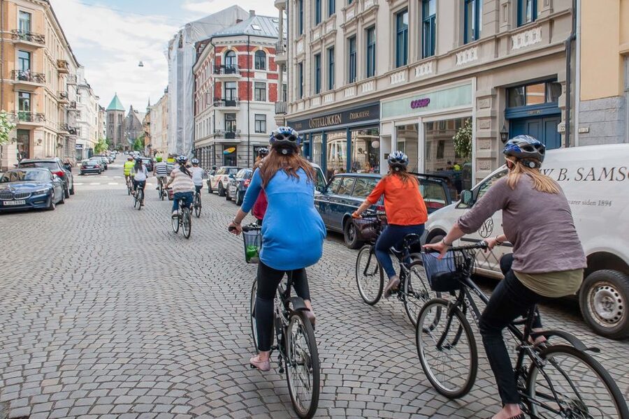 Oslo: 3-Hour Highlights Bike Tour - Karl Johans Gate and the Royal Palace