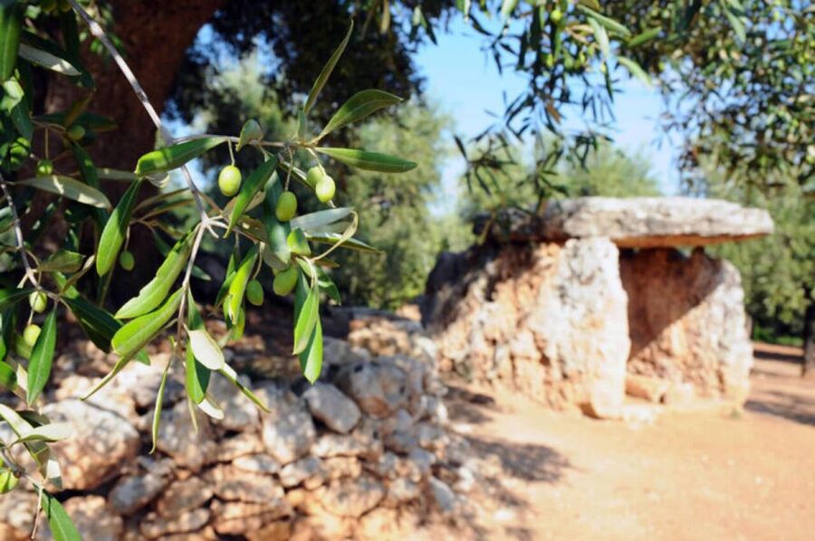 Ostuni: E-bike Tour, Ancient Olive Trees & Oil Tasting - What makes this Ostuni ride worth your time