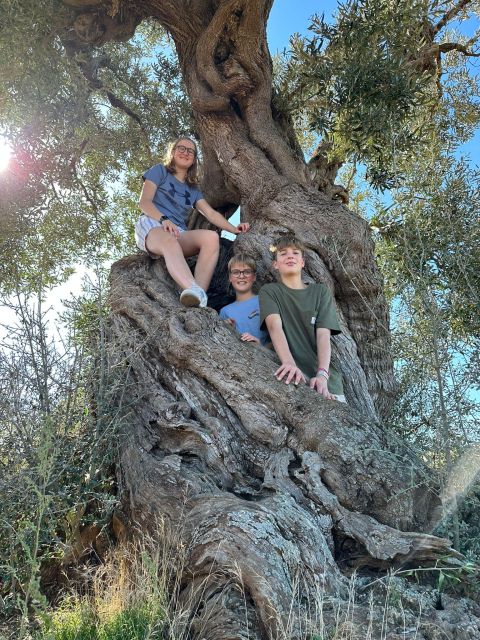 Ostuni: E-bike Tour, Ancient Olive Trees & Oil Tasting - Starting at Cooperativa L’Agricola Montalbanese