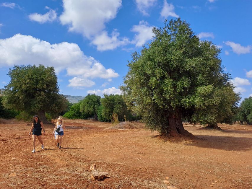 Ostuni: Guided e-bike tour + countryside tasting stop - Key points to know before you book