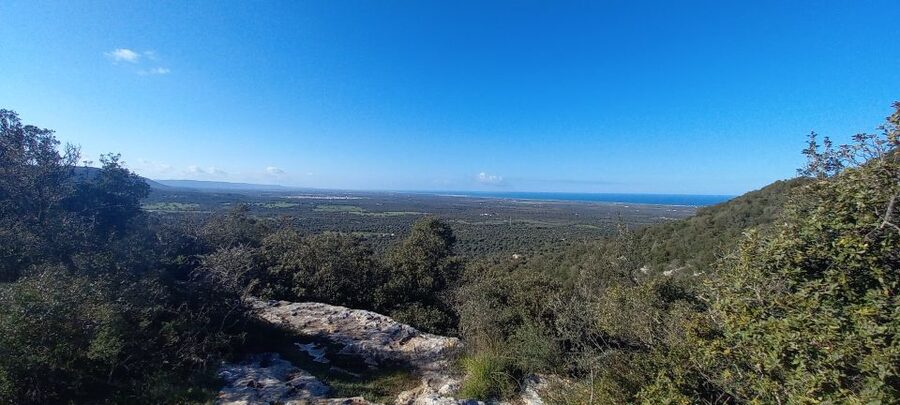 Ostuni: Guided e-bike tour + countryside tasting stop - Helpful preparation for the day
