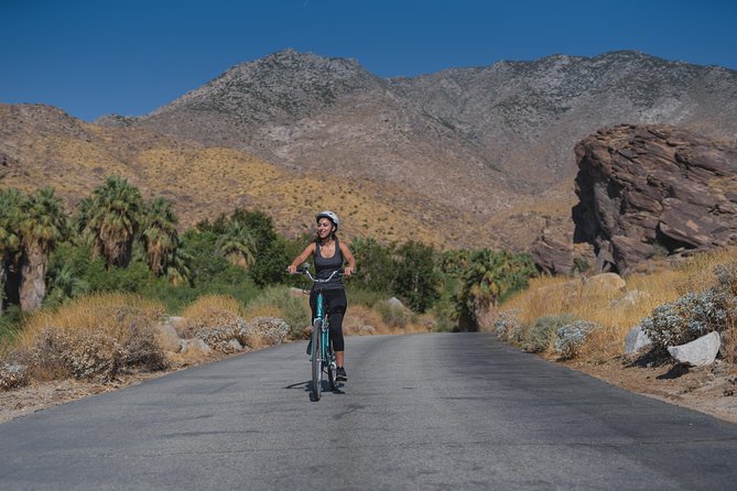 Palm Springs Indian Canyons Bike and Hike - Walking Beside Water in a Palm Oasis