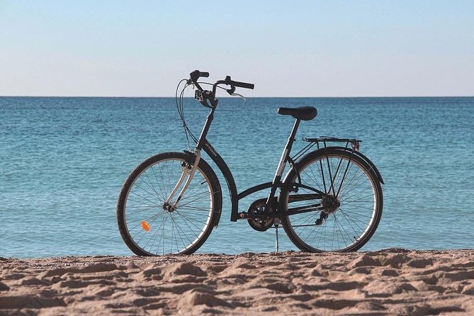 Palma de Mallorca Easy Bike Tour (Small Groups) - Three old-town churches after the big sights