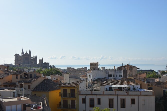 Palma de Mallorca Easy Bike Tour (Small Groups) - What the guides add to the ride