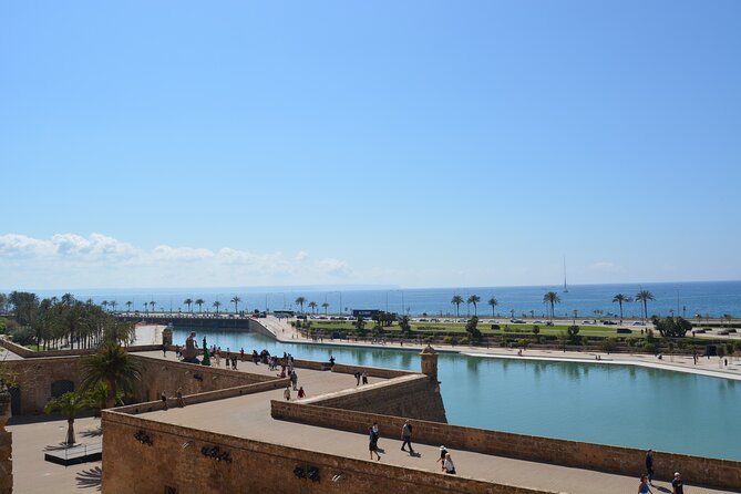 Palma de Mallorca Easy Bike Tour (Small Groups) - Starting at Plaça del Rosari at 10:30