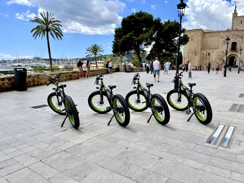 Palma: Guided City Tour with a Fat Tire E-Bike - From the old center to Palma Bay