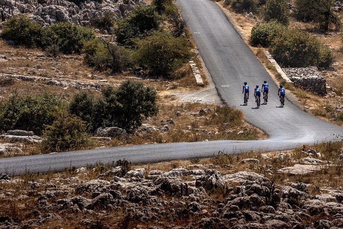 Personalised Road Bike Tour in Malaga - The Carbon Bike Fitting Makes a Long Day Easier