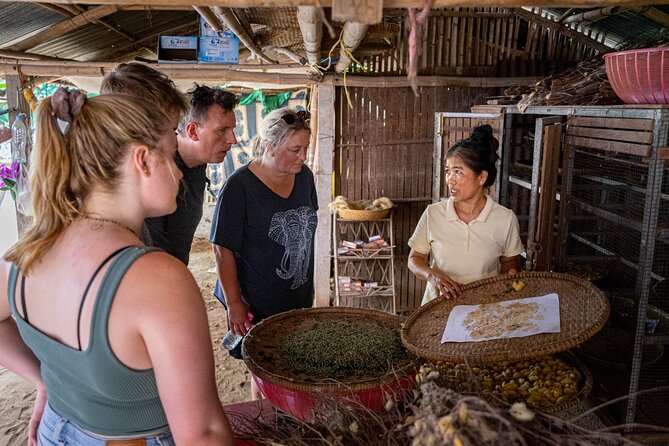Phnom Penh Silk Island Bike Tour/ E-Bike or Tuk Tuk - Silk weaving and family workshops